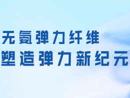 無氨彈力纖維 塑造彈力新紀元